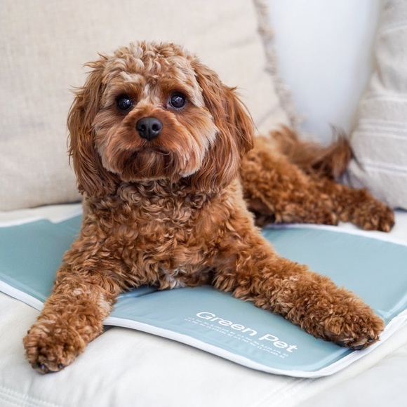 Green Pet Other - Green Pet Shop Cool Pet Pad